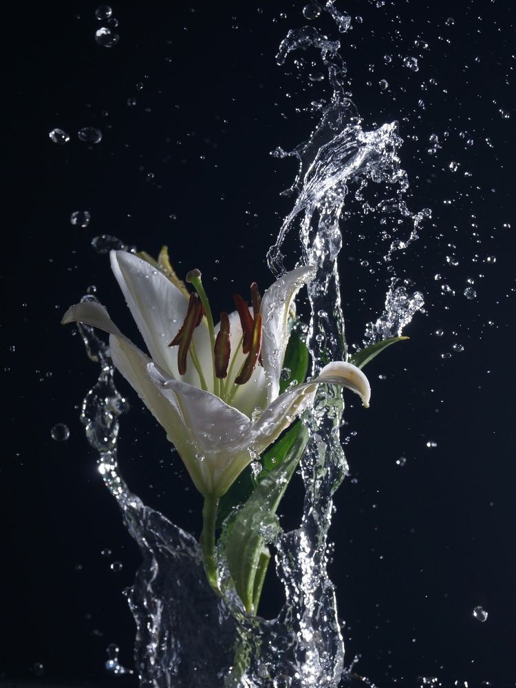 Photograph by Анжелика Солятова