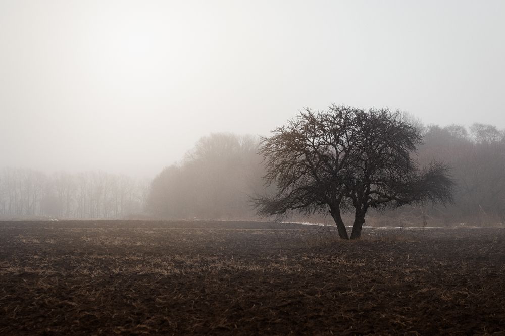 Photograph by Olena Herashchenko