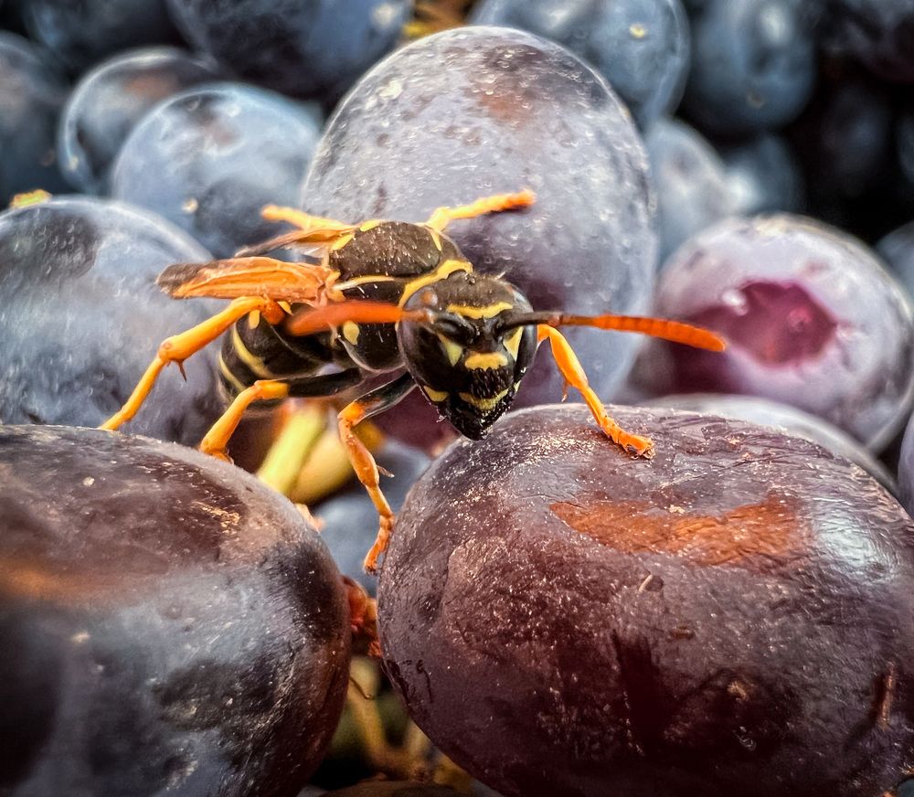 Photograph by Дамир Давронов