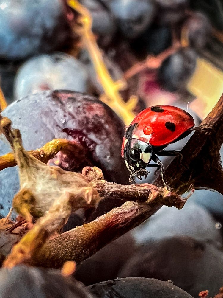 Photograph by Дамир Давронов