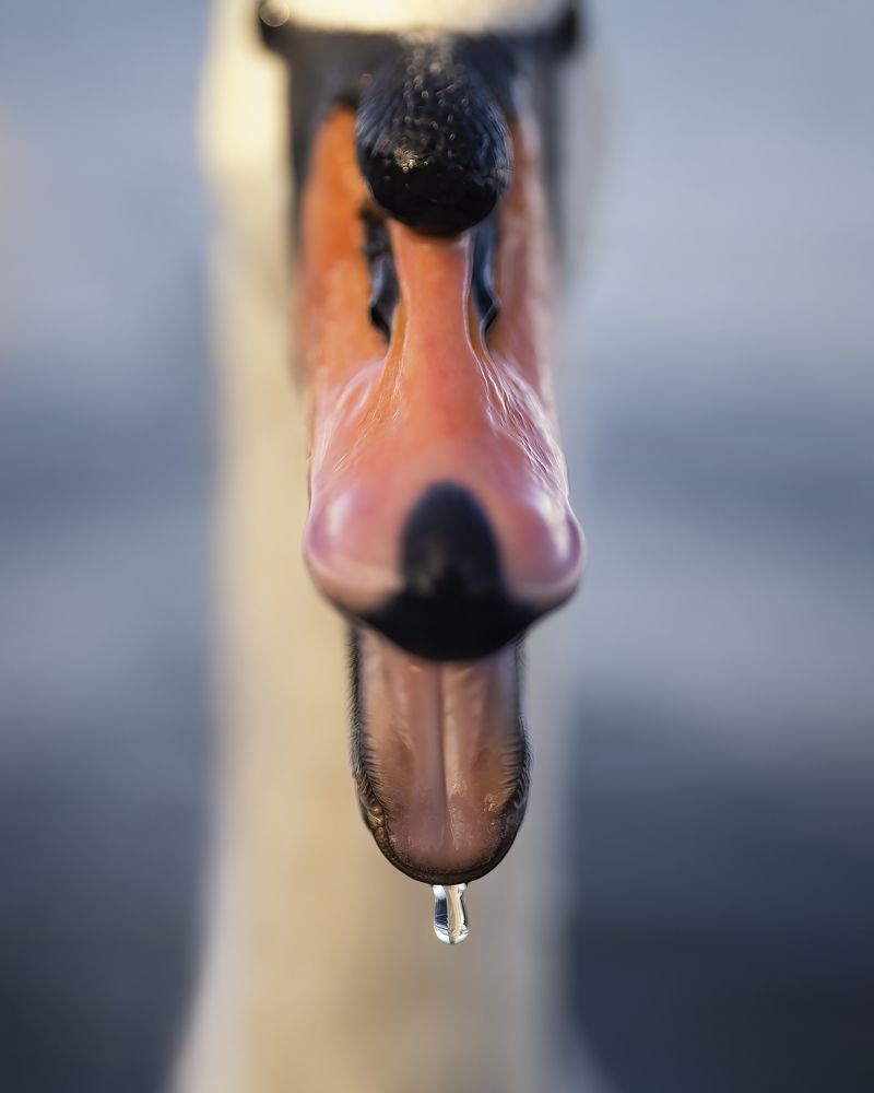 Photograph by Larianna Holm