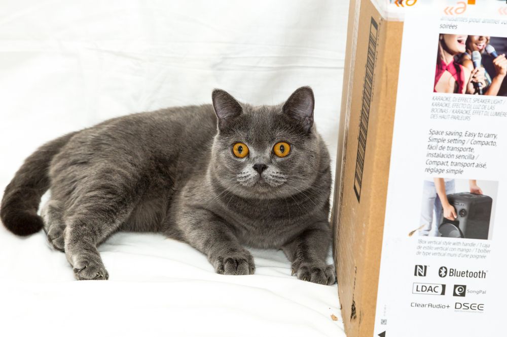 Photograph by Николай Чухрай