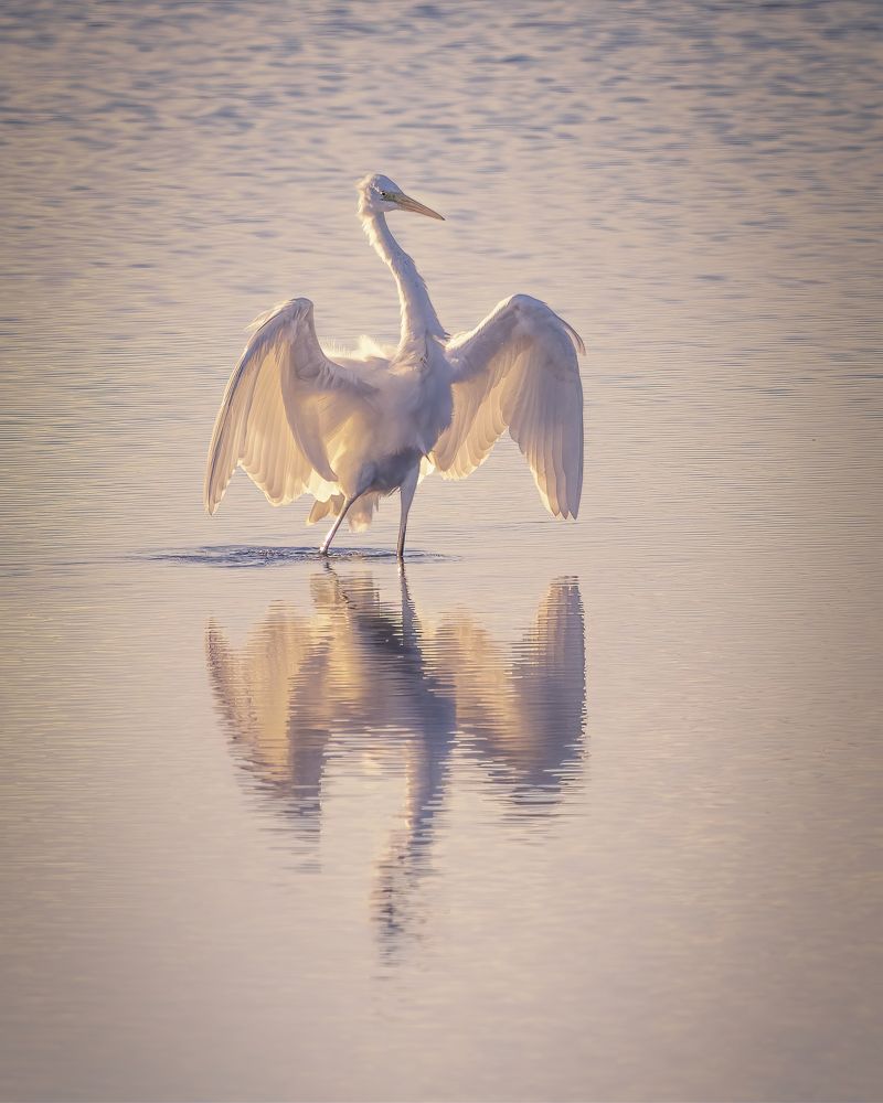 Photograph by Larianna Holm