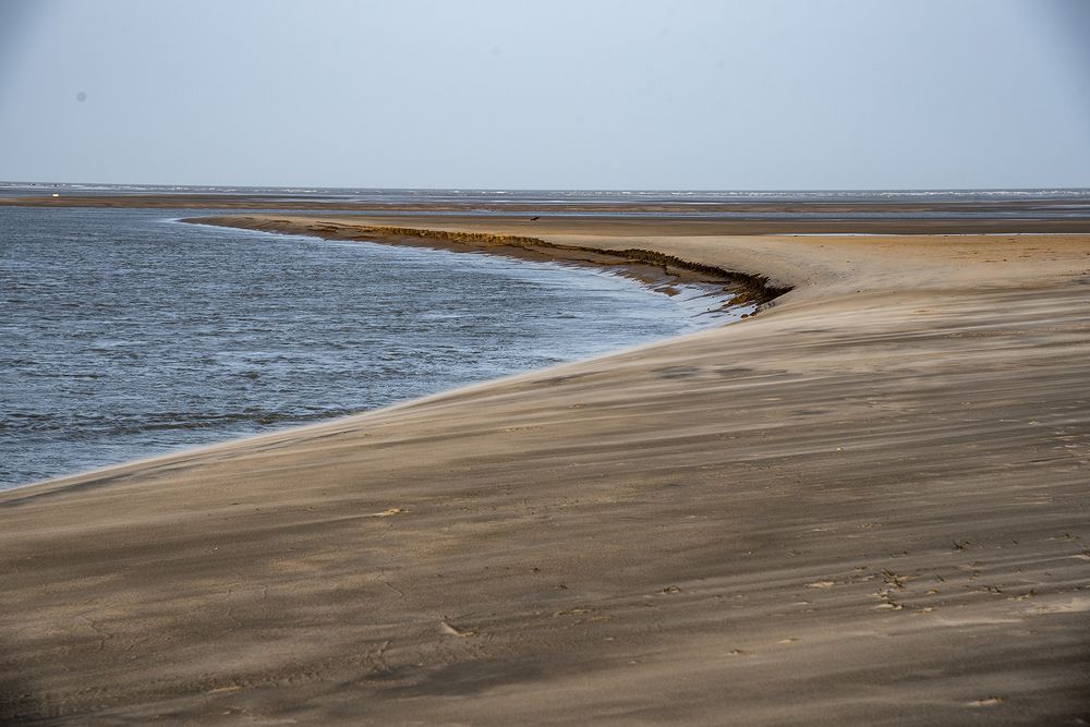 Photograph by AMLAN BISWAS