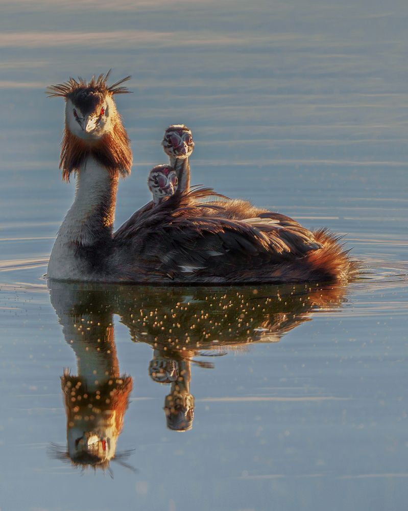 Photograph by Larianna Holm