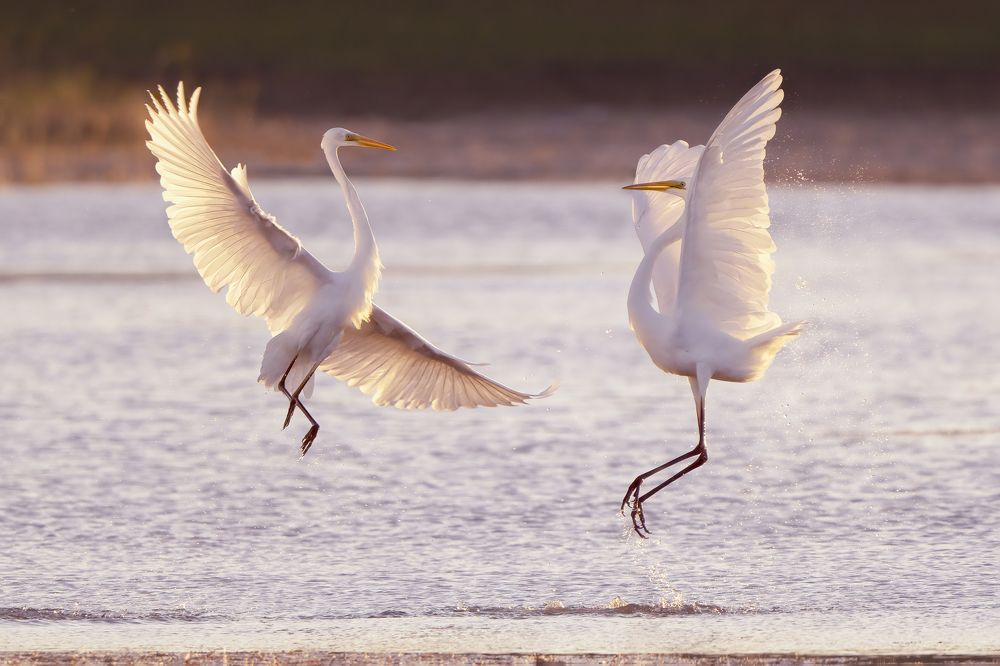 Photograph by Larianna Holm