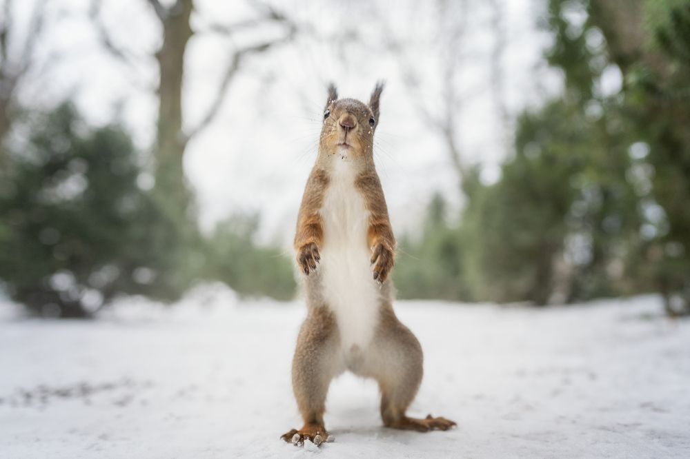 Photograph by Larianna Holm