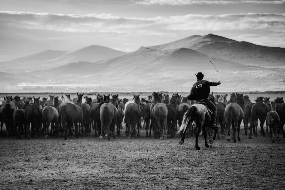 Photograph by mevlüt bilir