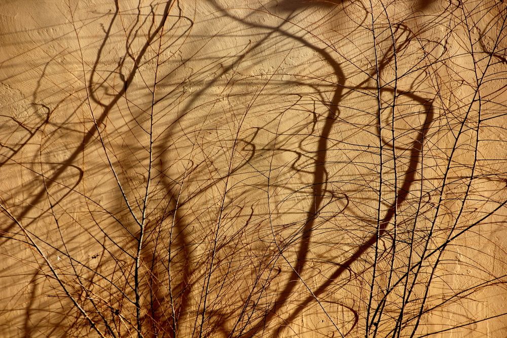 Photograph by Жанна Валиева