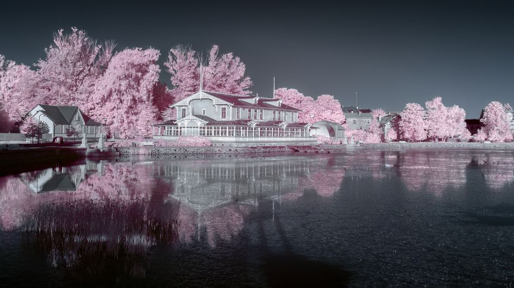 Photograph by Larianna Holm