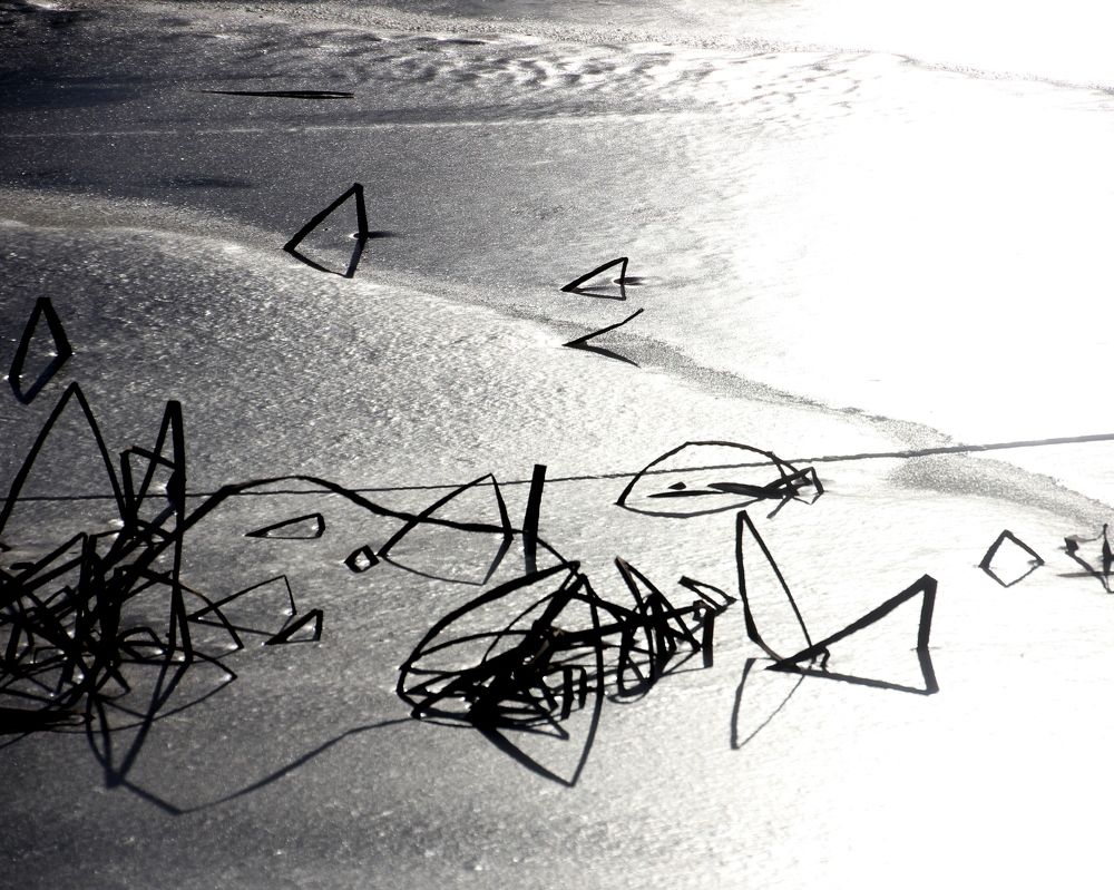 Photograph by Жанна Валиева