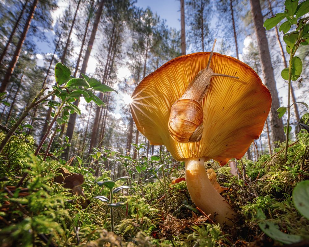 Photograph by Larianna Holm