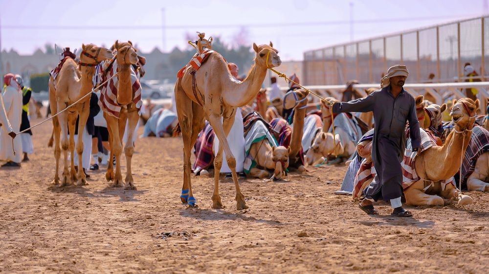 Photograph by binoy james