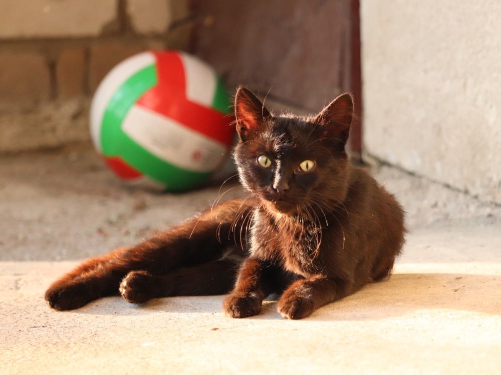 Photograph by Алексейчик Дмитрий