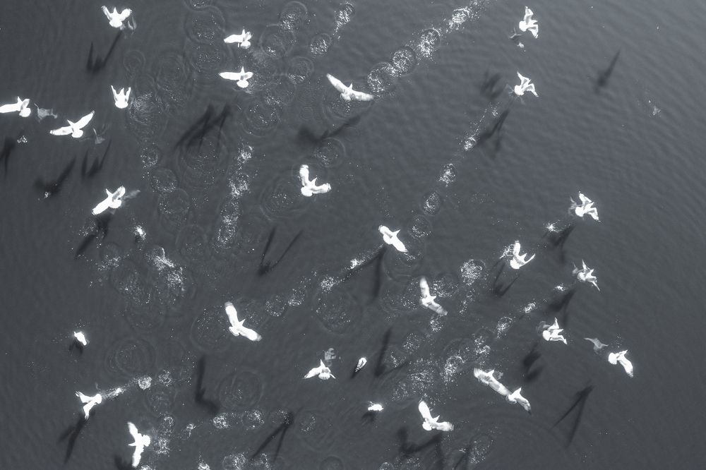 Photograph by Алексей Алексейчик