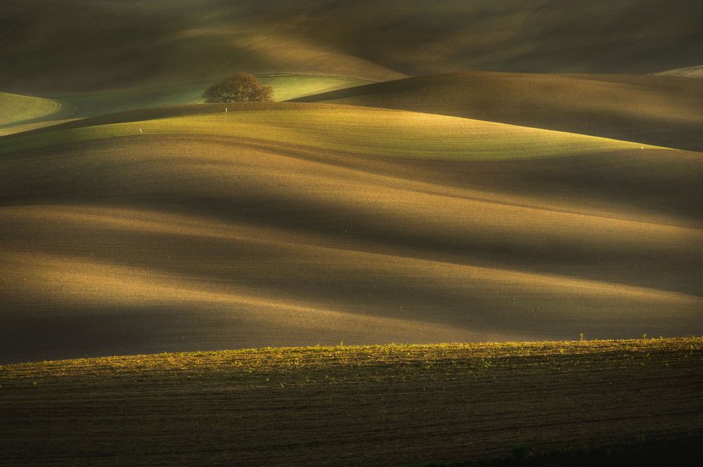 Photograph by giuseppe perrotta