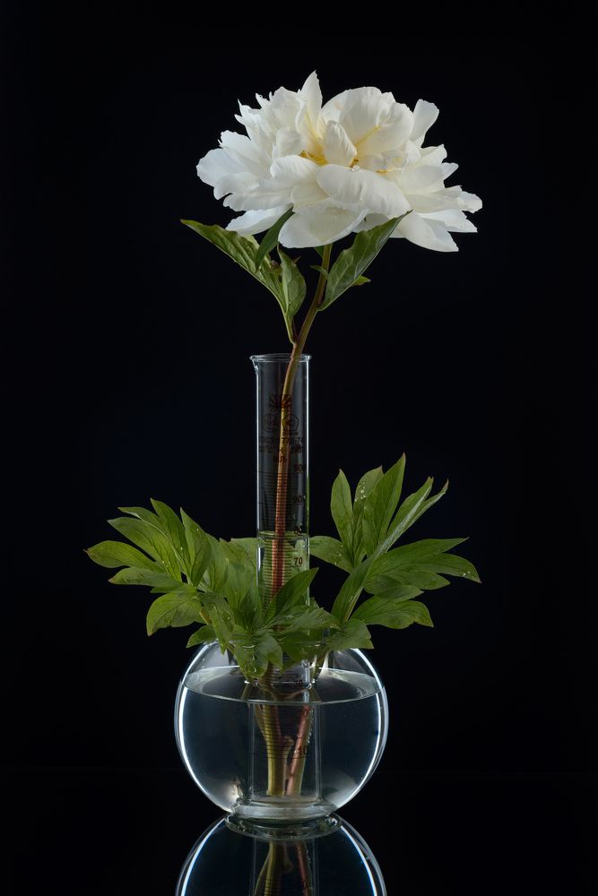 Фотография автора Кирилл Сизов