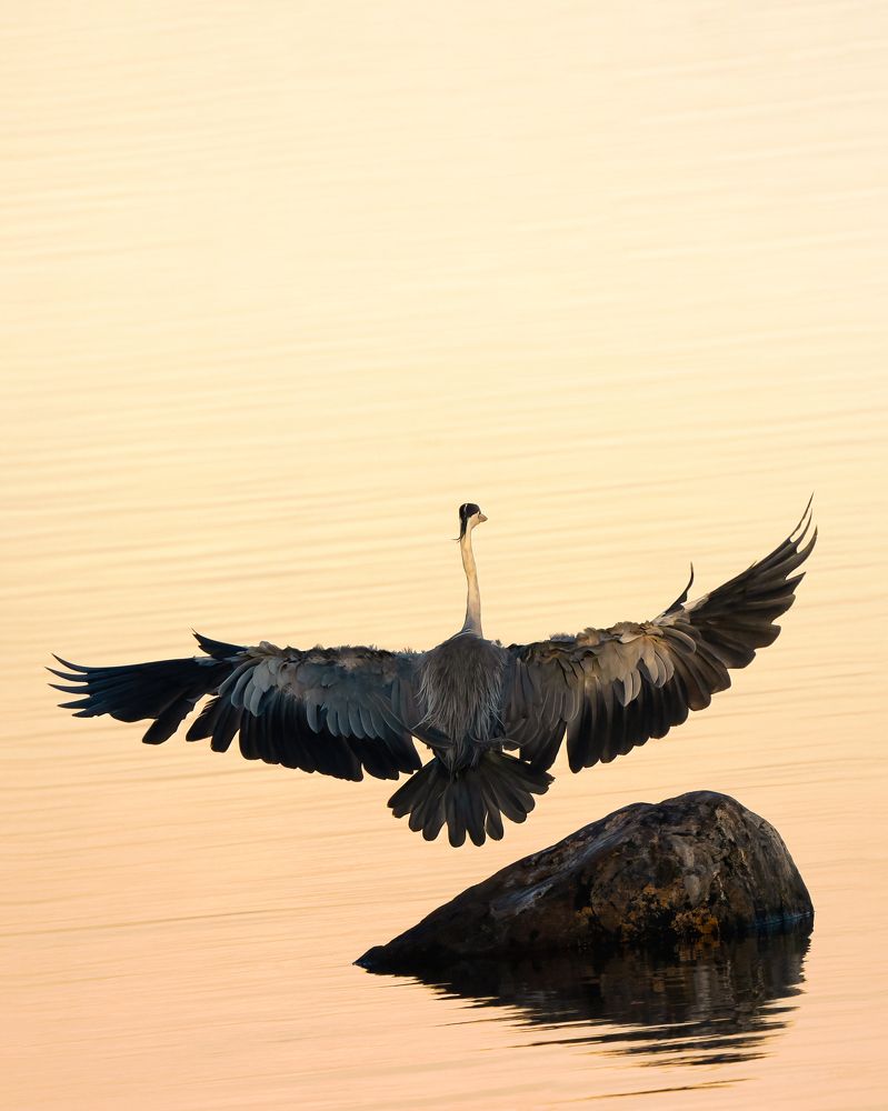 Photograph by Larianna Holm