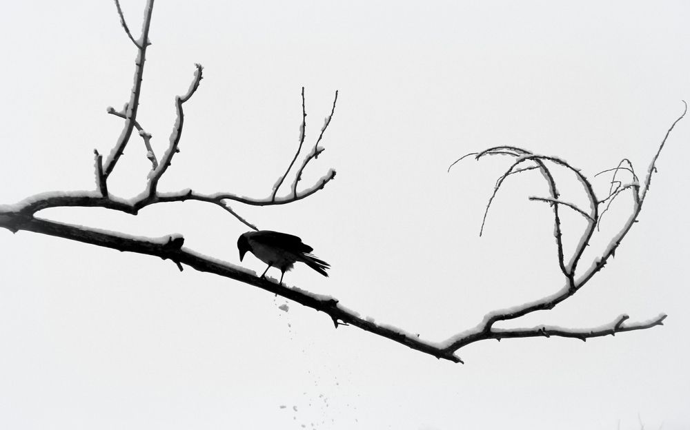 Photograph by Жанна Валиева