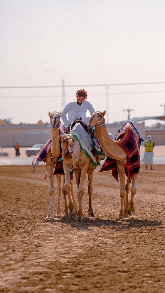 Photograph by binoy james