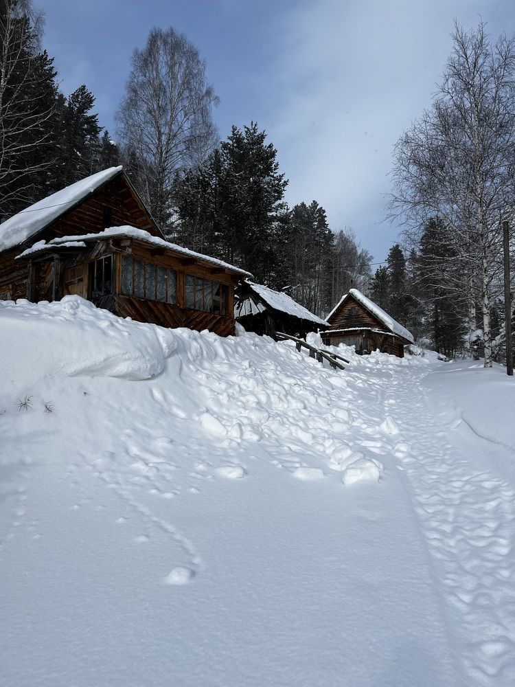 Photograph by Ольга