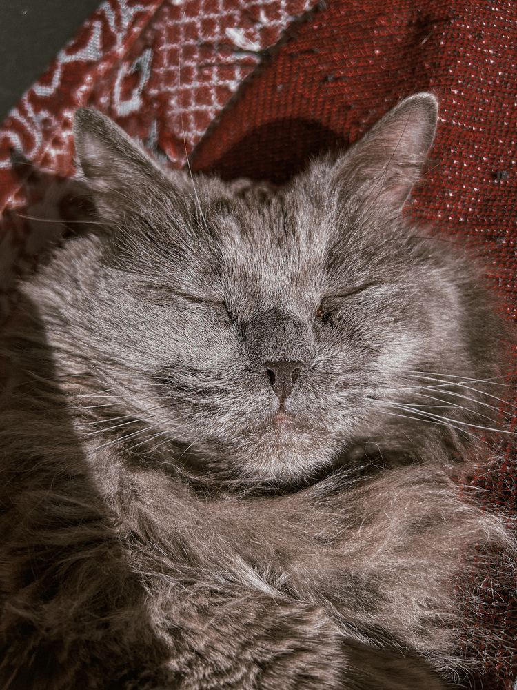 Photograph by Julia Dorofeeva