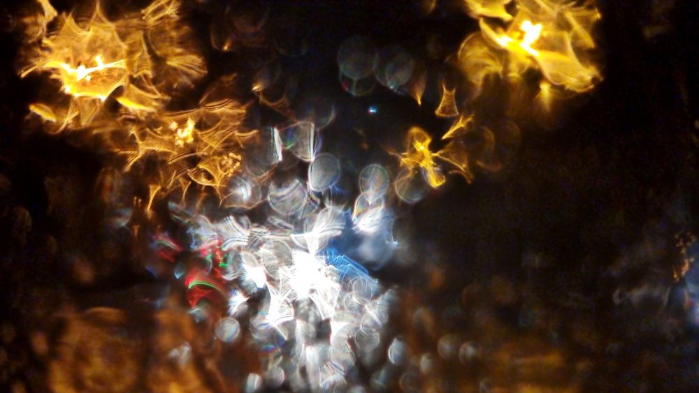 Photograph by ZahraGholamalian