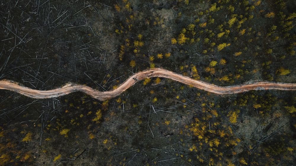 Photograph by Чураев Андрей