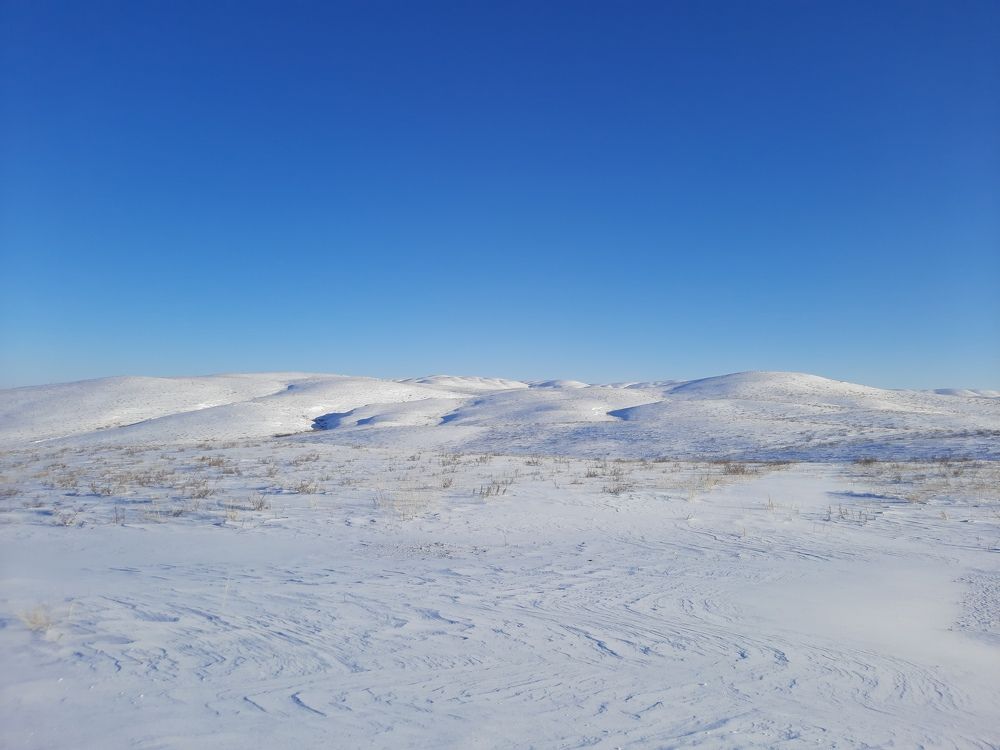 Photograph by Евгения Митюшкина