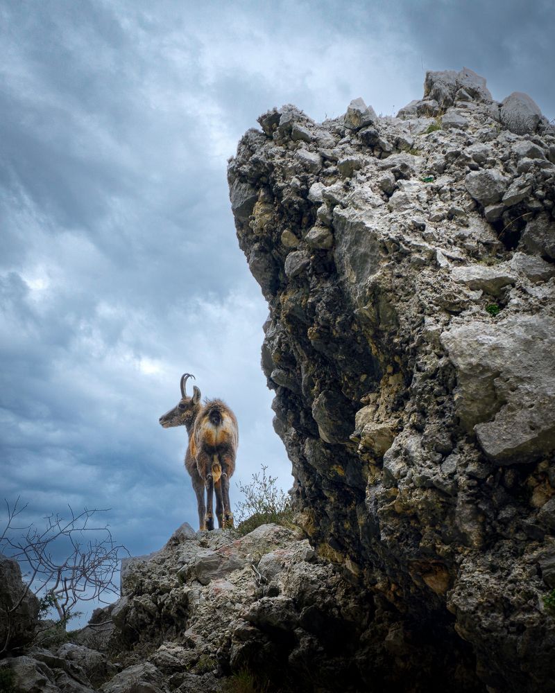 Photograph by Boris Luetić