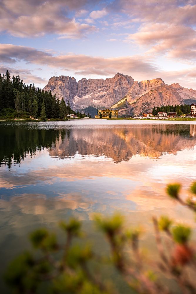 Photograph by Tomislav Safundžić