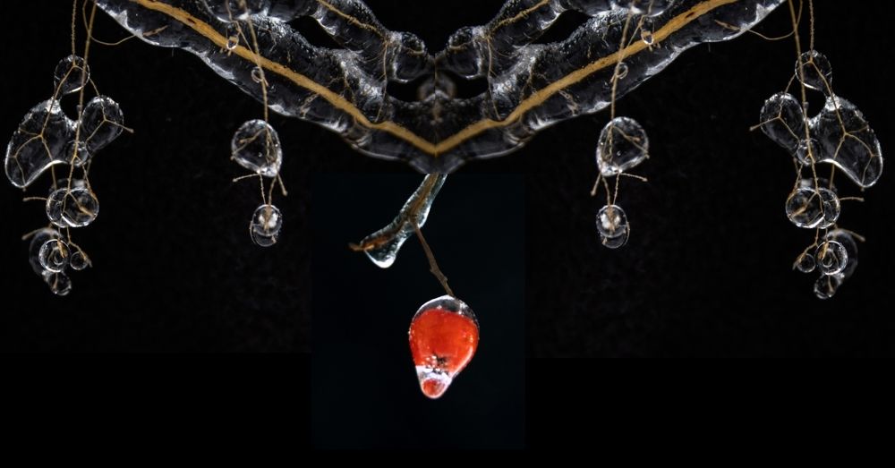 Photograph by Татьяна Романова