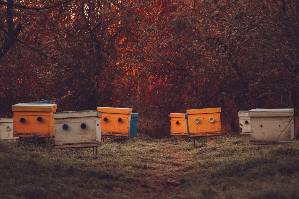 Жители сада