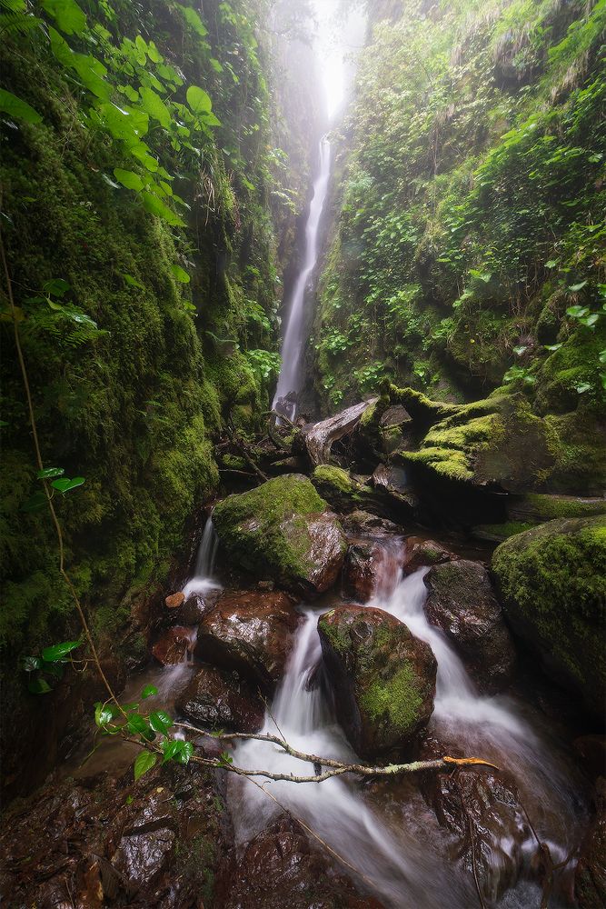 Photograph by Дмитрий Воронцов