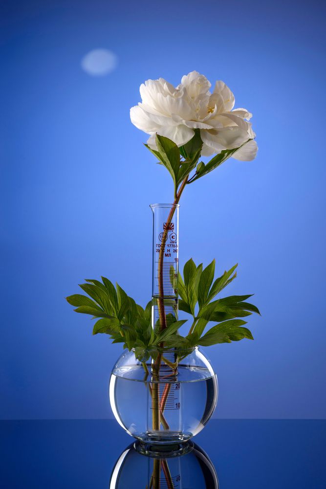 Фотография автора Кирилл Сизов