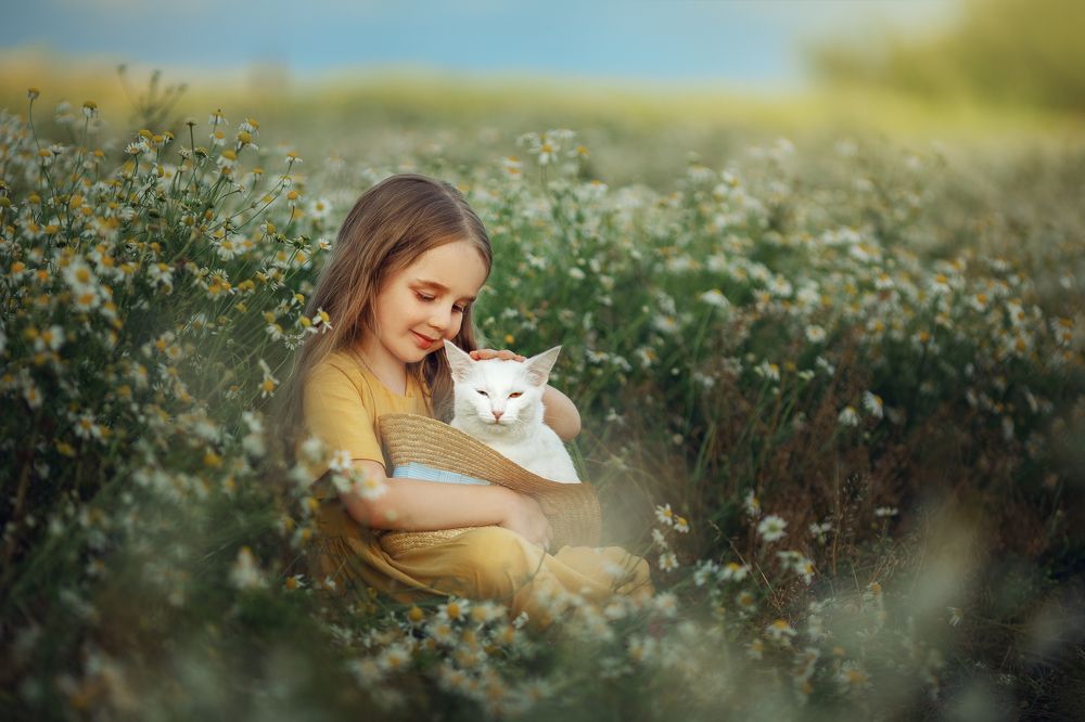 Photograph by Костюк Зоя