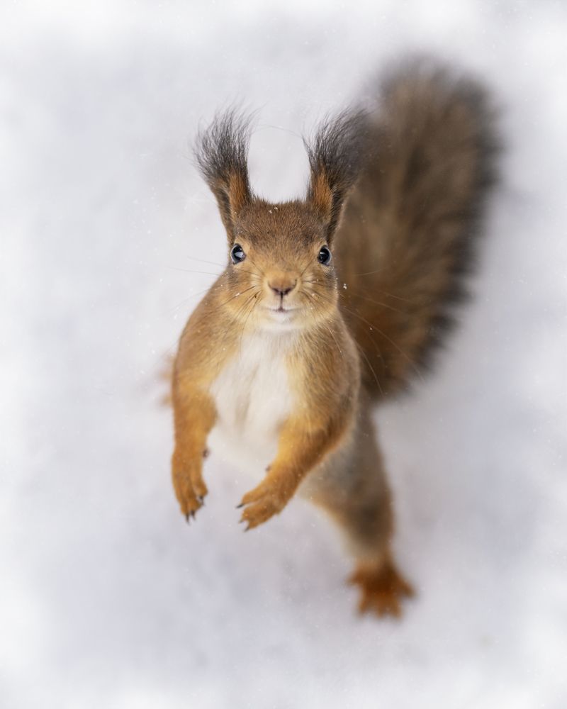 Photograph by Larianna Holm