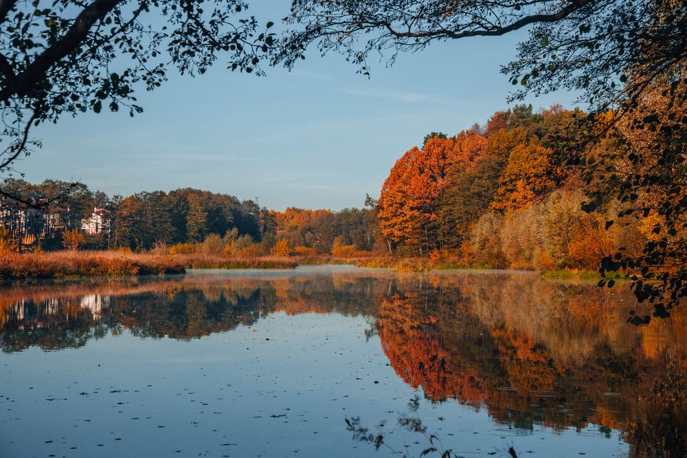 Осенние отражения