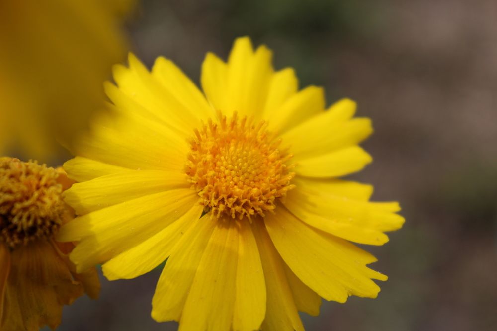 Photograph by Татьяна Сюсина