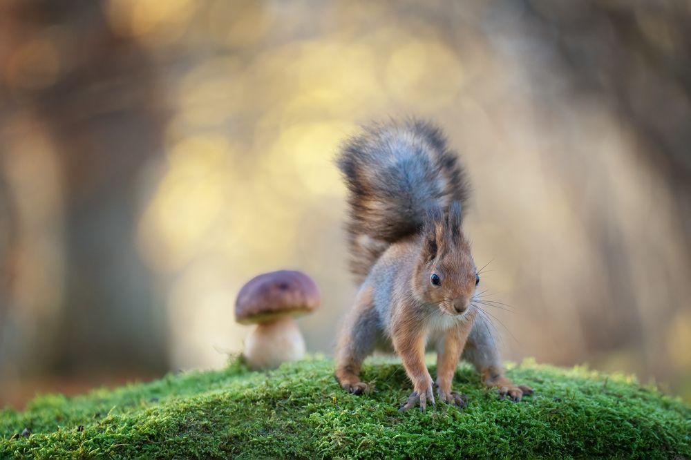 Photograph by Larianna Holm