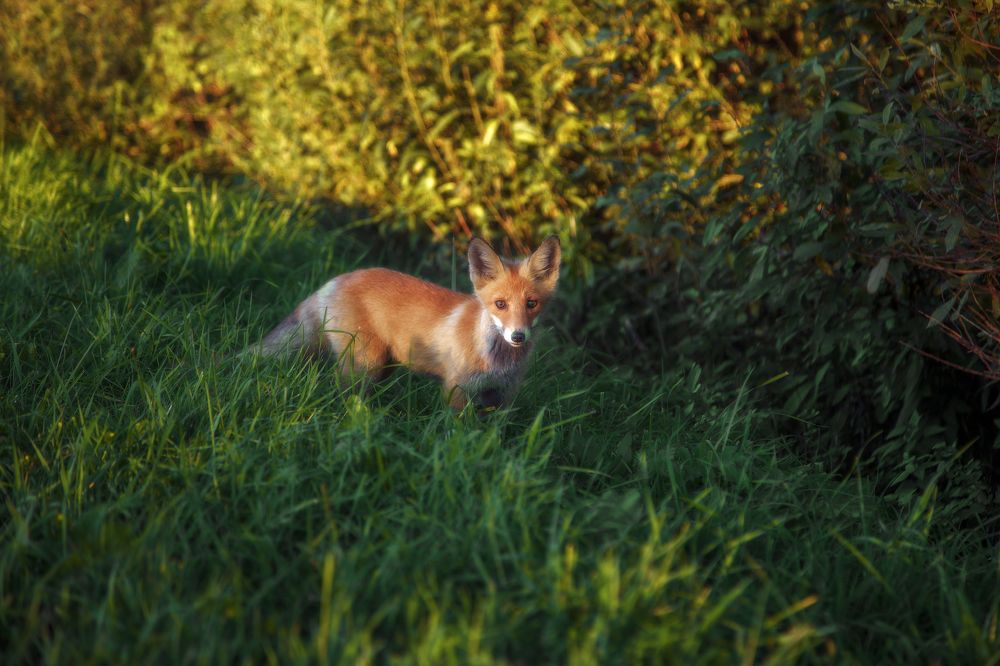 Photograph by Макаров Роман