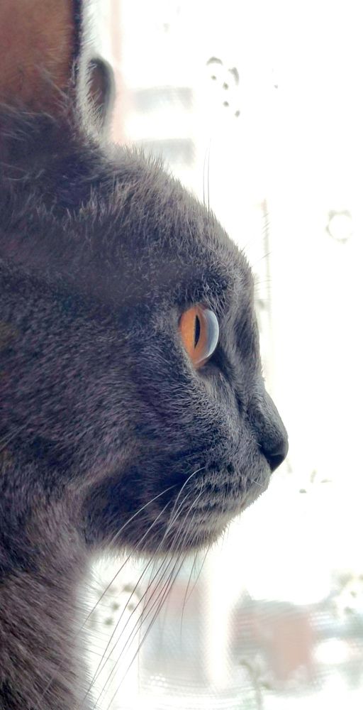 А где то есть космические войны...
