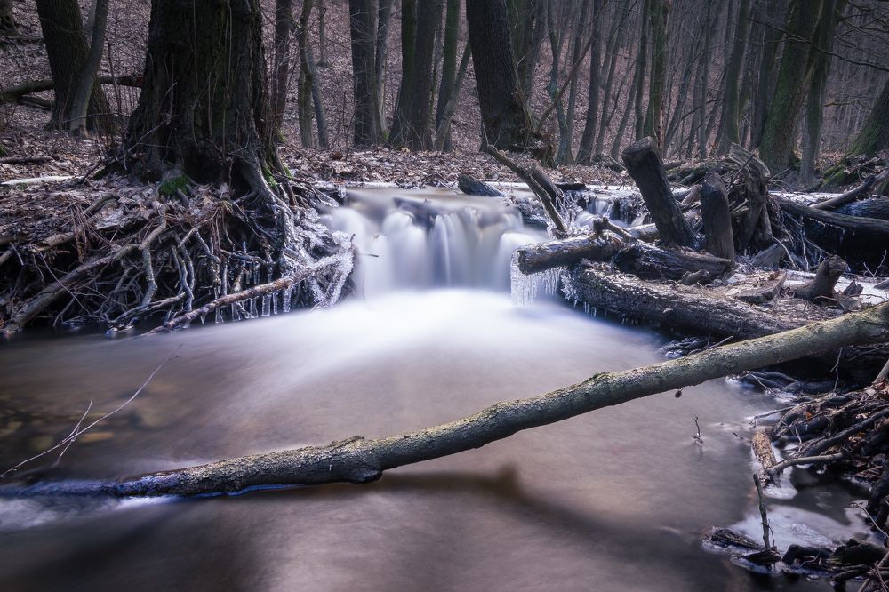 Photograph by Lukas Kulla