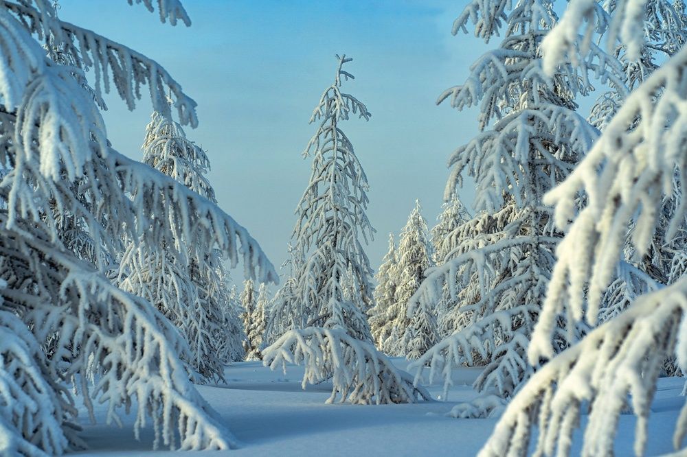 Содружество