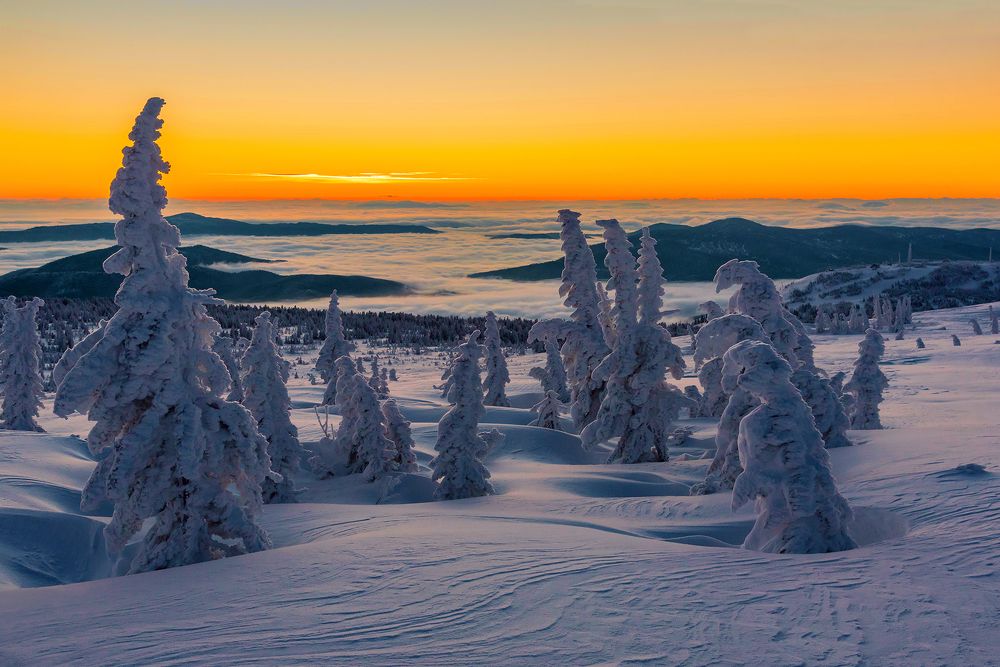 На грани рассвета