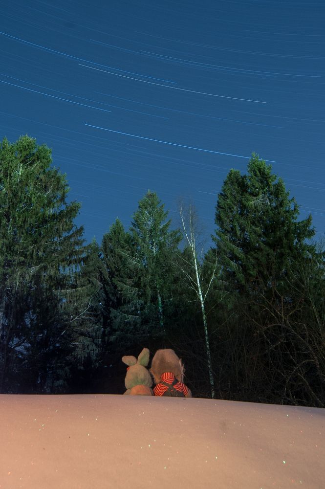 Фотография автора Кирилл Сизов