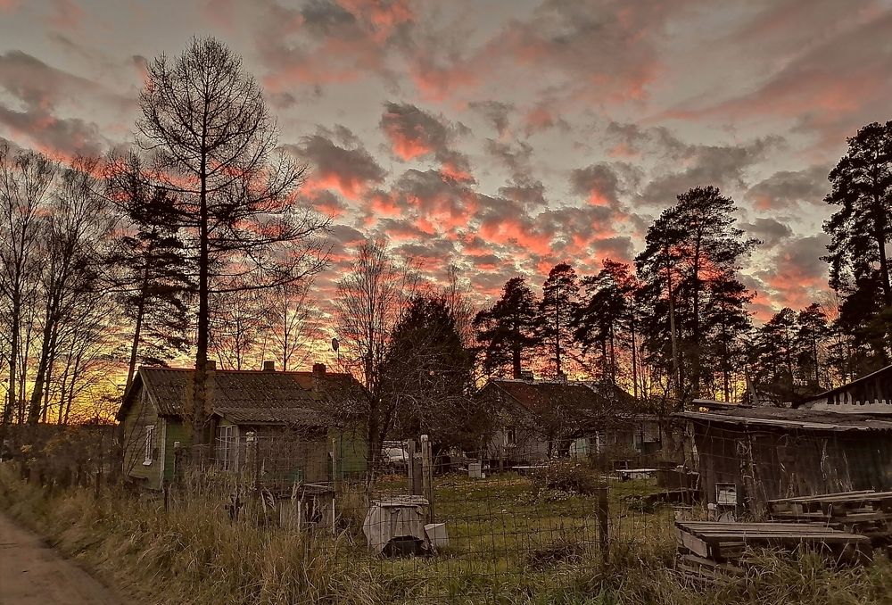Photograph by Анастасия Лопарева