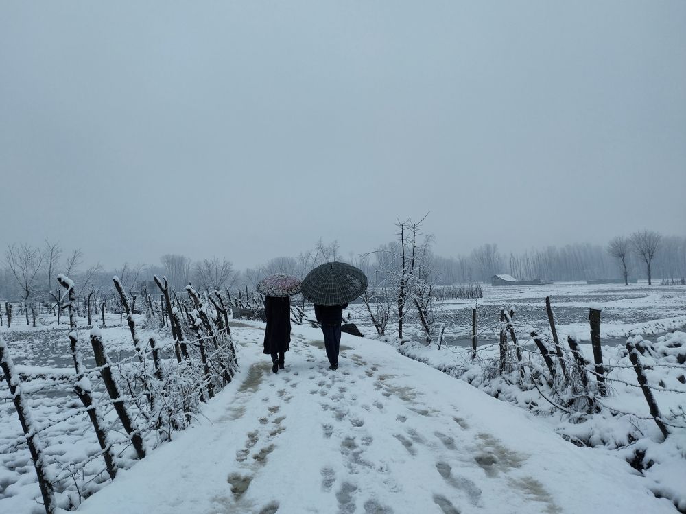 Photograph by Amaan Bhat