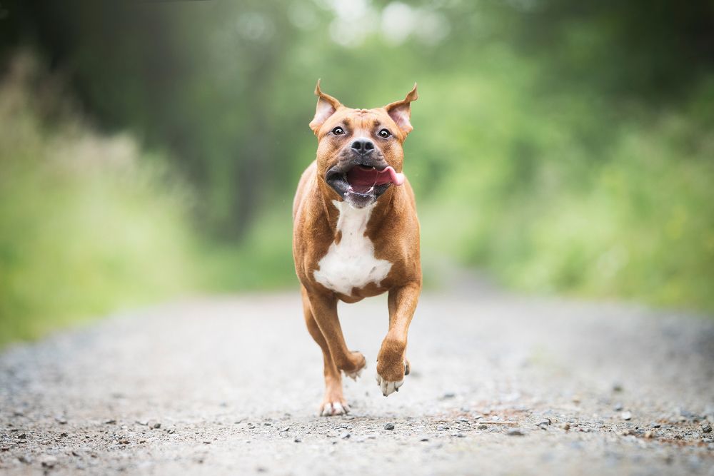 Фотография автора Kateřina Zajíčková