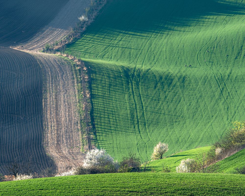 Photograph by ПАВЕЛ